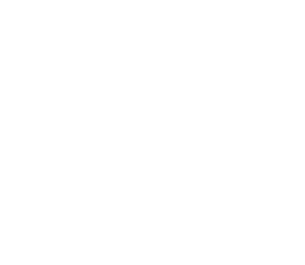 apsafe logo