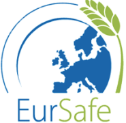 EURSAFE